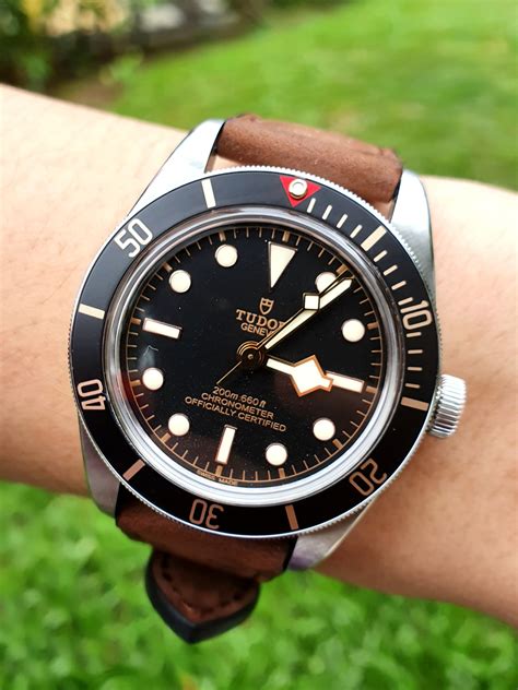 tudor black bay 58 lug width